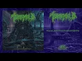TOMB MOLD - Accelerative Phenomenae (From 'Planetary Clairvoyance' LP, 2019)