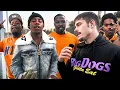 LA s Most Hated Gang The Hoover Criminals