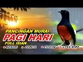 Lagu 🔴 LIVE 56 - Pancingan Murai Batu Pagi Hari Full Isian Tembakan kasar Murai Apapun Pasti Nyaut Gacor