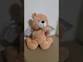 Download Lagu Animated Singing Musical Angel Bear Plush with Halo NEW TAGS Plush 10” 4