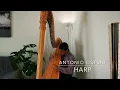 "Allegro" from Bach, C P E - Harp Sonata in G major, Wq. 139 (H563) - Antonio Ostuni Harp
