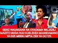 Lagu GENZ WAUNGANA NA CHADEMA WAJADILI MAZITO MUDA HUU KUELEKEA MAANDAMANO YA D25 MBINU MPYA ZAIDI OCT29.