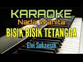 Download Lagu Karaoke BISIK BISIK TETANGGA (Elvi Sukaesih)