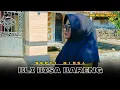 Download Lagu BLI BISA BARENG - VOC. SEPTI NISSA || DUA PUTRA || SHOW DESA CILANDAK KIDUL