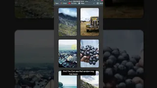 How To Generate Random Image Using Javascript