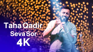 Taha Qadir Seva Sor تەها قادر سێڤا سۆر 2023 