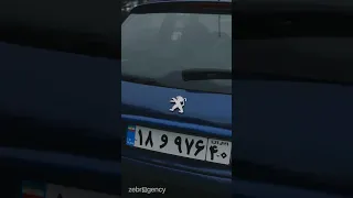                                                                                       دندنها