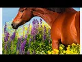 Fastest Way to Solve a Jigsaw Puzzle - Step-by-Step Tutorial