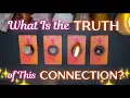 Delulu Check What Is The TRUTH of This Connection Detailed Pick a Card Tarot Reading