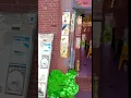 Object Segmentation with Detectron 2