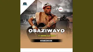 ntabezikude feat indoni u0026 mtshovo