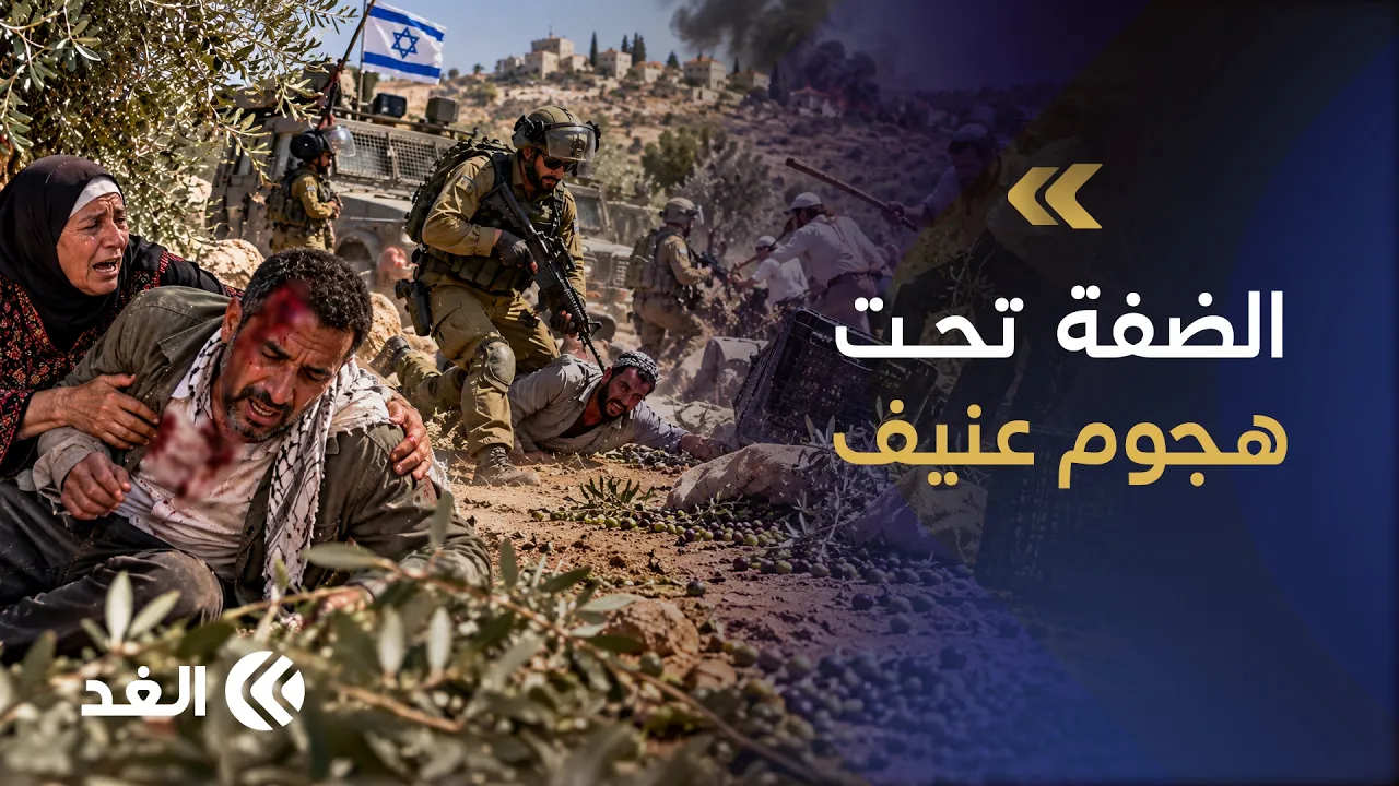 إصابة 20 فلسطينيا في 25 هجوما إرهابيا بالضفة والمستوطنون يسرقون المحاصيل ويعتدون على المزارعين