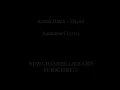 Kodak Black ft Lil Boosie - Slayed Lyrics