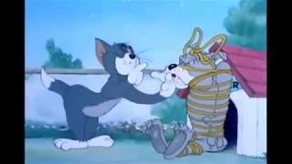 koolassjoe presents 