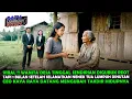 Download Lagu VIRAL !! WANITA MISKIN INI SELAMATKAN NENEK LUMPUH DIHUTAN, CEO KAYA RAYA DATANG MENGUBAH TAKDIRNYA