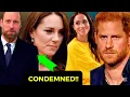 Download Lagu Public ERUPTS in FURY CONDEMNING William \u0026Kate today  using Kids in heavy rains for their PR!