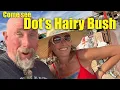 Dots Hairy Bush