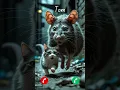 Lagu Tom \u0026 Jerry are calling #catlovers #ringtone #cat #meow #rat #mouse #tomandjerry