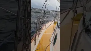 Sounds of the Ocean 🌊