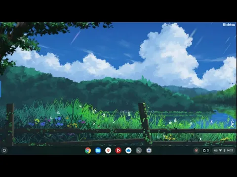 How to change DNS on Chrome OS - Set up Guide