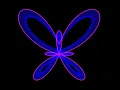 The butterfly curve animated with parametric equations curve stitching math art