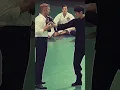 Download Lagu Ip man 4