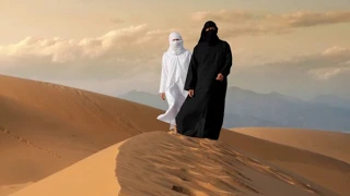                              دندنها