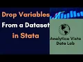 32 How to Drop a Variable from a Dataset in Stata