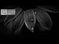 Elderbrook - Numb (Joris Voorn Remix)