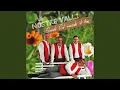 Download Lagu Ricordi - La vita