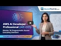 Module 18 Programmatic Access Executing Standard AWS AI Developer - Professional AIP-C01