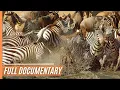 Download Amazing nature: Run to survive mp4 3gp mp3 videos - waplic