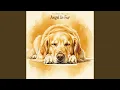 Lagu Angel In Fur