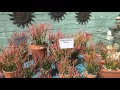 Breakfast and Morro Bay Shopping