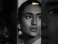 Download Lagu Tum Jiyo Hazaron Saal Famous Birthday birthday song Sujata (1959) #ashabhosle #birthdaysong