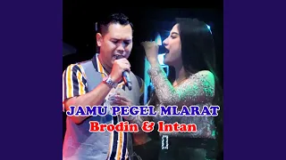 Download Jamu Pegel Mlarat MP3