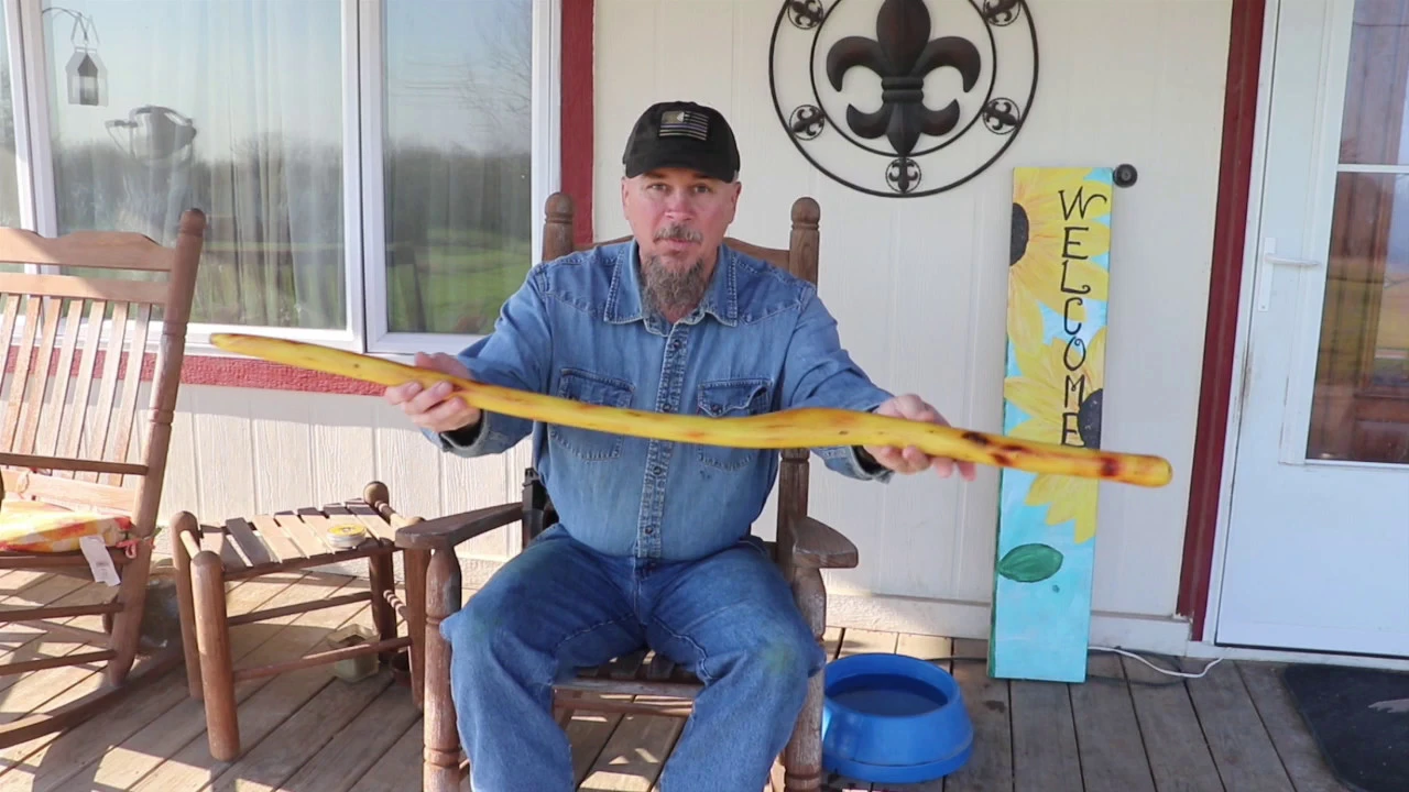 Making a walking cane from Osage Orange.