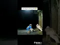 Download Lagu pocong vs orang gila