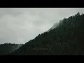 Nothing Burns Like The Cold - Snoh Aalegra, Vince Staples