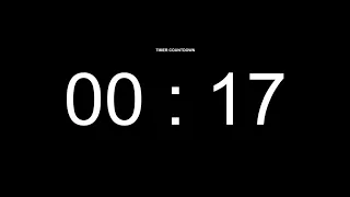 17 Seconds Countdown Timer