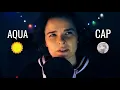 AQUARIUS SUN WITH CAPRICORN MOON The Practical Intellectual