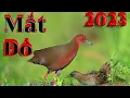 Download Lagu Tiếng Chim Tí Nỉ Mắt Đỏ 2023 Tháng 3 Hiệu Quả Kinh Tế Cho AE Nằm Đồng Hiệu Quả Chống Mõm Sương Gió