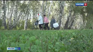 В Омске устроили субботник в середине недели — удалось ли собрать людей для уборки