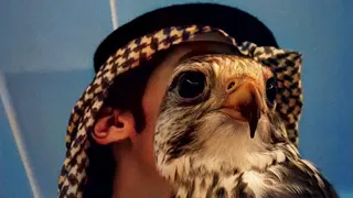 عيضه المنهالي بالجمال وهيبة الفخري والعيان وطرفك وسح ره 