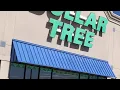 NO FOOD STAMPS NO PROBLEM Smart Grocery Shopping at DOLLAR TREE