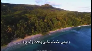 تلاوة من سورة فاطر الشيخ محمد أيوب 