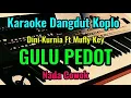 Download Lagu GULU PEDOT [ Dini Kurnia Ft Mufly Key ] Karaoke Dangdut Koplo || Nada Cowok