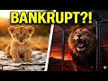 How Much Does a Lion Cost Full Cost Breakdown