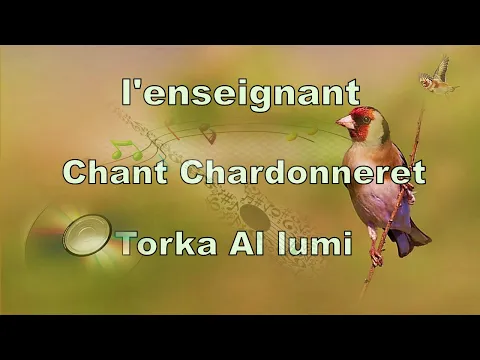 Download MP3 Chant Chardonneret - l'enseignant