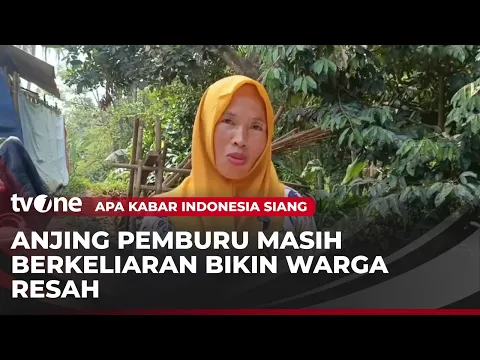 Warga Resah Anjing Pemburu Masih Berkeliaran usai Memakan Korban Jiwa